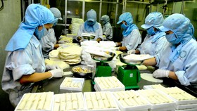 Chế biến chả giò tại Công ty Sagrifood Ảnh: CAO THĂNG