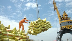 Xuất khẩu: Vừa ngoi lên đã bị dập xuống