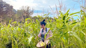 Hành trình nông sản Việt của hai cô gái trẻ