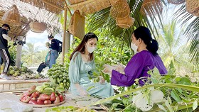 Du khách tham quan Bến Tre ngày 13-11 Ảnh: THI HỒNG
