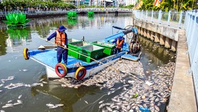 Nhìn cảnh tượng này khó mà thu hút khách du lịch tham quan trên kênh Nhiêu Lộc-Thị Nghè.