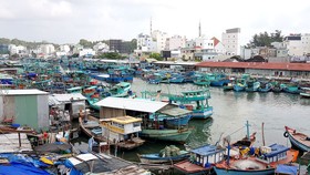 Ô nhiễm sông Dương Đông ở đảo Phú Quốc, cần ít nhất 10 năm để hồi sinh