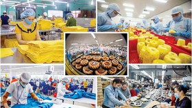 Hồi sức cho DN là tất yếu, nhưng cần khai thông và minh bạch khả năng hấp thụ của từng DN.