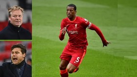Tiền vệ Hà Lan Georginio Wijnaldum đã từ chối Barcdelona để sang PSG