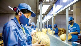 Giải pháp hỗ trợ cho doanh nghiệp hiện nay chỉ giải quyết tình thế.