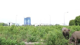 Ảnh chỉ có tính minh họa. (Nguồn: TTXVN)