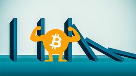 Bitcoin: Vàng số hay tulip?