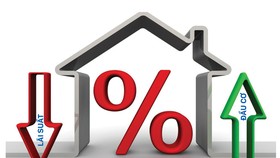 Rủi ro tiền rẻ chảy vào chứng khoán