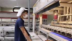 Công nhân làm việc tại Công ty TNHH Green Energy Technology Việt Nam. (Ảnh: Thái Hùng/TTXVN)