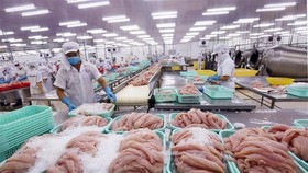 Chế biến cá tra xuất khẩu. (Ảnh: Danh Lam/TTXVN)
