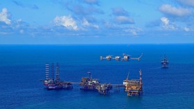 Cơ hội đầu tư khi ngành dầu khí trong nước gặp khó