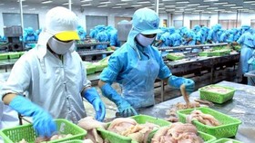 Doanh nghiệp Việt Nam cần chủ động hơn trong thị trường RCEP
