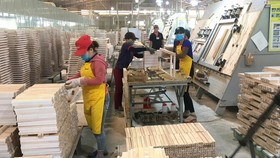 Hơn 80% DN được khảo sát không nhận được gói hỗ trợ từ Chính phủ. (Ảnh minh họa: KT)