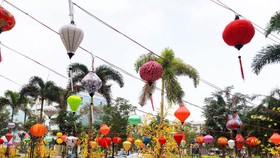 Sắc xuân về sớm trên khu dân cư An Sương