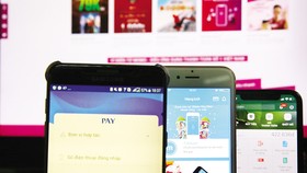 Các giao dịch đầu tư forex, tiền ảo... được thực hiện trên hệ thống Internet và không được cơ quan quản lý tại Việt Nam cấp phép