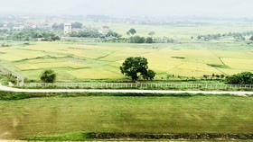 Tập trung thanh tra đất đai dễ phát sinh các vấn đề sai phạm