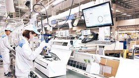 Từ ngày 1-3, TPHCM tiến hành tổng điều tra kinh tế năm 2021
