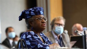 Tân Tổng Giám đốc WTO Ngozi Okonjo-Iweala. (Nguồn: THX/TTXVN)
