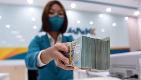 Cơ cấu lại các khoản nợ, hỗ trợ DN khó khăn phục hồi