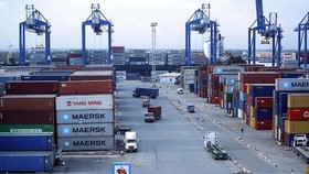 Năm 2021, có thêm 8 bến cảng biển tại 5 tỉnh thành