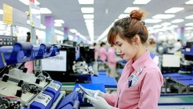 Lao động Việt Nam tại Hàn Quốc được gia hạn cư trú 1 năm do dịch Covid-19