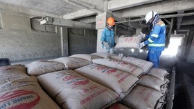 Dây chuyền sản xuất xi măng tại Công ty CP Xi măng Thăng Long, tỉnh Quảng Ninh. (Ảnh: TTXVN)