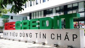 FE Credit - từ 'mầm non' đến công ty được định giá tỷ USD