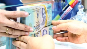 Chính phủ đã triển khai nhiều biện pháp nhằm hỗ trợ người dân và doanh nghiệp ứng phó với đại dịch Covid-19. (Ảnh minh họa: KT)