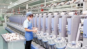 Dây chuyền lắp ráp dây điện ô tô