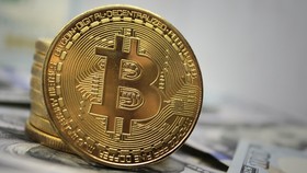 'Bitcoin đang ở trong cơn bão'