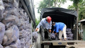 Gói chính sách hỗ trợ cần chảy đúng thời điểm của 'cơn khát'