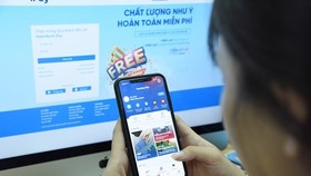 Ảnh minh họa. (Nguồn: TTXVN)