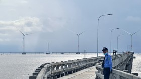 Điện gió 'kêu cứu', xin đường lùi