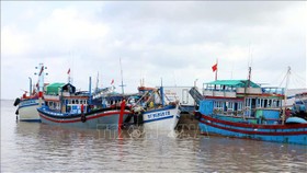 Tàu neo đâu tại cảng cá Trần Đề (Sóc Trăng). Ảnh: Tư liệu TTXVN phát