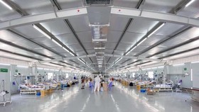 Việt Nam chưa ghi nhận trường hợp mắc COVID-19 với biến chủng mới Omicron. (Ảnh: PV/Vietnam+)