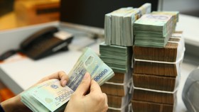 TS Lê Xuân Nghĩa: “Không nên đẩy rủi ro sang các ngân hàng thương mại”