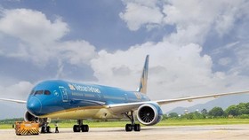 Máy bay của Vietnam Airlines. (Ảnh: CTV/Vietnam+)