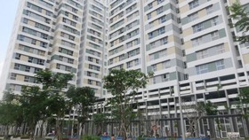Một dự án căn hộ phân khúc bình dân được xây dựng cách đây nửa thập niên tại khu Cát Lái, quận 2, TP Thủ Đức. Ảnh: Myhouse
