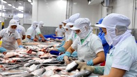 Hoạt động của doanh nghiệp chế biến thủy sản. (Nguồn: TTXVN)