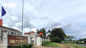 Đã 6 năm Công ty Cà phê Đức Lập không thể cổ phần hoá vì khoản nợ “khổng lồ” hiện đã trên 174 tỷ đồng.