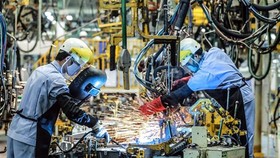 Dây chuyền sản xuất tại Toyota Việt Nam ở tỉnh Vĩnh Phúc. (Ảnh: Danh Lam/TTXVN)