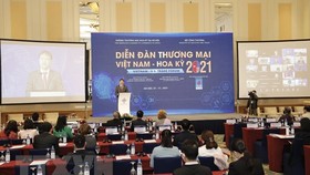 Quang cảnh diễn đàn tại điểm cầu Hà Nội. (Ảnh: Trần Việt/TTXVN)