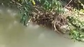 Khu vực người dân tìm thấy bé H.