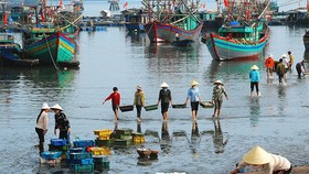 Trong quý 3, khu vực nông, lâm nghiệp và thủy sản tăng 1,04%