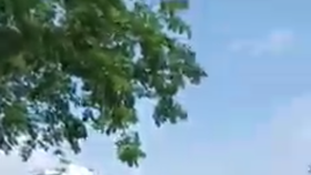 Hình ảnh vụ việc cắt từ clip