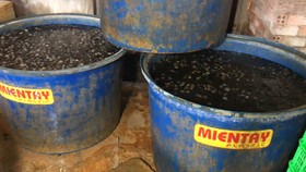 Phát hiện 1,8 tấn ốc ngâm hoá chất