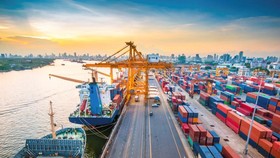 Yêu cầu công khai giá cước vận tải container bằng đường biển