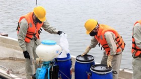 Ông Nguyễn Đức Chung chỉ đạo cho công ty gia đình vào vụ mua chế phẩm Redoxy-3C