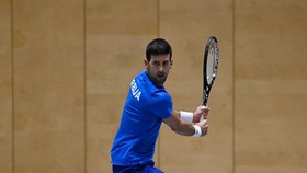 Djokovic tiếp tục ở lại với Davis Cup Finals