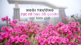 Ngôi trường rực rỡ hoa đỗ quyên nơi biên giới